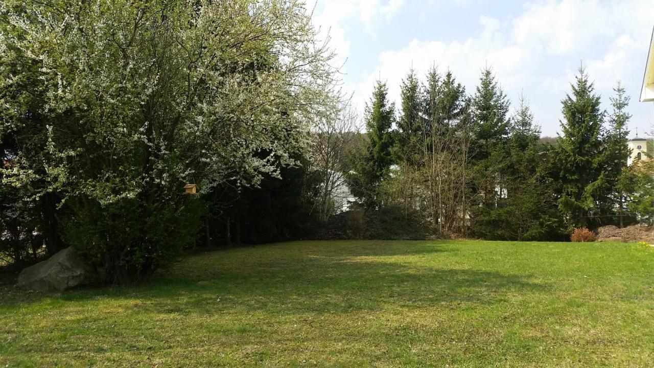 Lions Apartments - Erholung Und Vergnuegen In Bad Tatzmannsdorf Jormannsdorf ภายนอก รูปภาพ